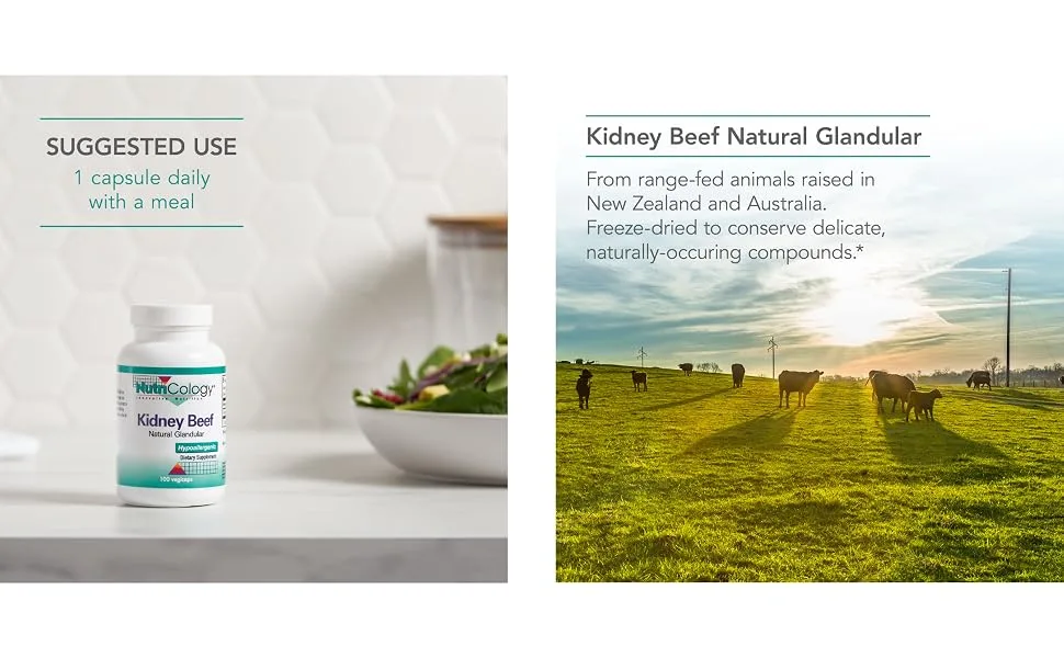 Nutricology Kidney Beef - Natural Glandular, Kidney Support, Histamine - 100 Vegicaps - 52800