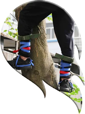 HTTMT- Tree Climbing Spike Set Safety Adjustable Belt Lanyard Rope Rescue Belt 2 Gears P/N: ET-OUTDOOR002-RAW - Tree Climbing Spike Set