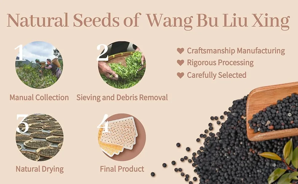 Multi-Condition Ear Seeds Acupuncture Kit, with Acupuncture Ear Press Seeds 1200Pcs, Acupuncture Pen, Acupressure Ear Chart, Tweezers - ear seeds 4