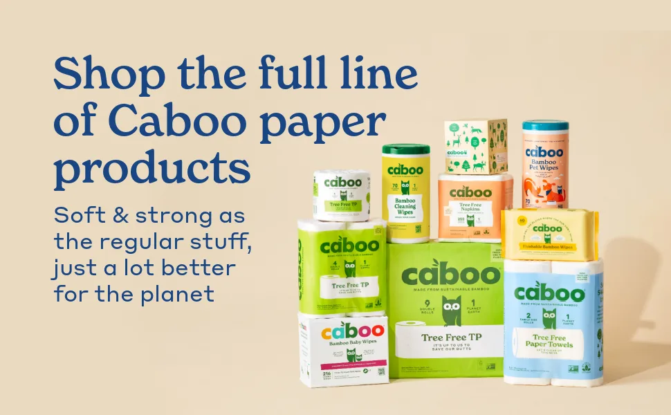Caboo Tree Free Bamboo Facial Tissue Paper, Eco Friendly Hypoallergenic Tissue Box with 60 Sheets Per Cube, Total of 6 Cubes, 360 Total Tissues Cube Boxes (6) - 8688 x 5792