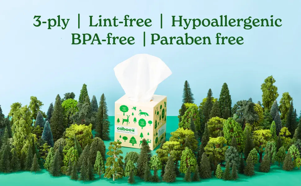 Caboo Tree Free Bamboo Facial Tissue Paper, Eco Friendly Hypoallergenic Tissue Box with 60 Sheets Per Cube, Total of 6 Cubes, 360 Total Tissues Cube Boxes (6) - tissues caboo