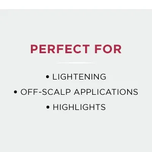 Clairol Professional Lightener and Developer for Hair Coloring Combo - BW & BW2 Lightener
