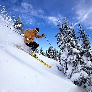 TRAILSIDE SUPPLY CO. Mens-Ski-Snow-Snowboard-Pants, Wind/Waterproof, Insulated Black (018) Large - product information 5