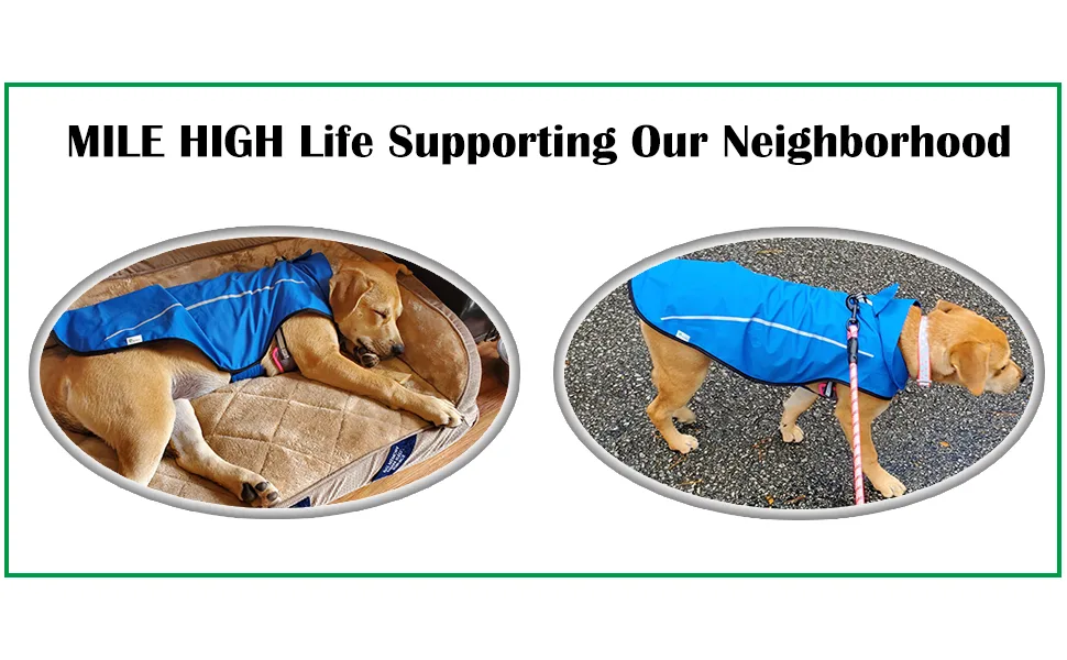Mile High Life | Dog Raincoat | Adjustable Water Proof Pet Clothes | Lightweight Rain Jacket with Reflective Strip | Easy Step in Closure,Lime Yellow,Large Large Lime Yellow - photo