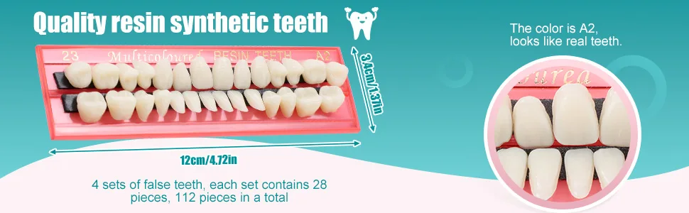 4 Sets Acrylic Resin Fake Teeth Dental Denture False Teeth Teeth Upper and Lower Synthetic Resin Teeth for Replacement, 112 Pieces, 23 A2 - product information 2