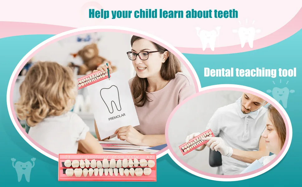 4 Sets Acrylic Resin Fake Teeth Dental Denture False Teeth Teeth Upper and Lower Synthetic Resin Teeth for Replacement, 112 Pieces, 23 A2 - product information 4