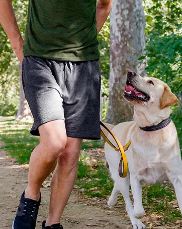 MIER Men's Workout Running Shorts Lightweight Active 5 Inches Shorts with Pockets, Quick Dry, Breathable Red With Zipper Large - mens soft 7in shorts