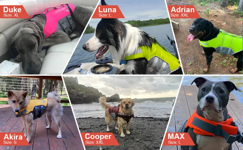 ThinkPet Dog Life Jacket, Reflective Lifesaver with Rescue Handle, Adjustable Floating Vest,High Buoyancy Aid Dog Saver Small Orange S Orange - Customers