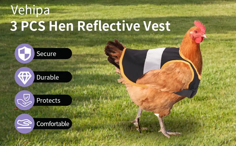 Vehipa 3 Pcs Hen Reflective Vest ,Adjustable Chicken Harness Hen, Poultry Chicken Hen Saddle Apron Feather Protection Holder for Chicken Geese Duck - product information 1