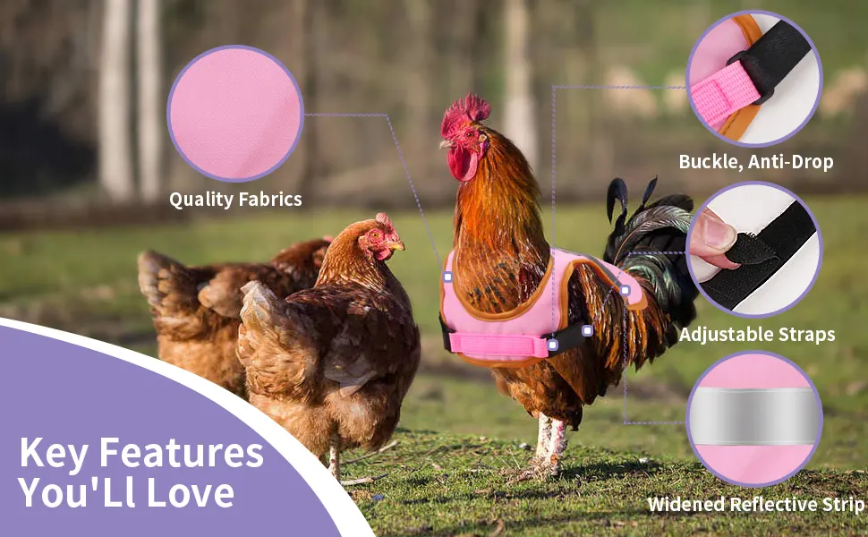 Vehipa 3 Pcs Hen Reflective Vest ,Adjustable Chicken Harness Hen, Poultry Chicken Hen Saddle Apron Feather Protection Holder for Chicken Geese Duck - product information 2