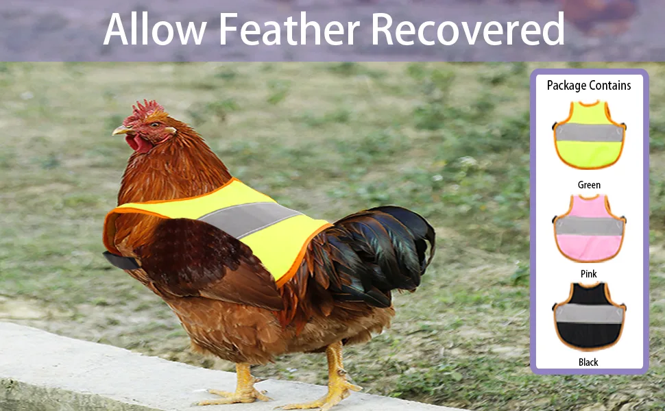 Vehipa 3 Pcs Hen Reflective Vest ,Adjustable Chicken Harness Hen, Poultry Chicken Hen Saddle Apron Feather Protection Holder for Chicken Geese Duck - product information 4