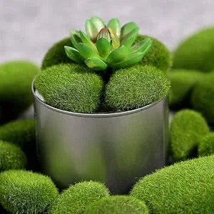 Nicunom 40 Pcs 5 Size Artificial Moss Rocks Decorative Faux Green Moss Covered Stones Fake Moss Balls for Garden Decor DIY Floral Arrangements Plant Poted Decoration - product information 4
