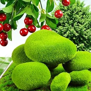 Nicunom 40 Pcs 5 Size Artificial Moss Rocks Decorative Faux Green Moss Covered Stones Fake Moss Balls for Garden Decor DIY Floral Arrangements Plant Poted Decoration - product information 7