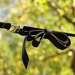 Ayaport Campsite Storage Strap 25FT Camping Lanyard Tent Hanging Organizer with 20 Loops 12 Hooks Must Have Tent Gear Camp Kitchen Accessories - camping hanging organizer
