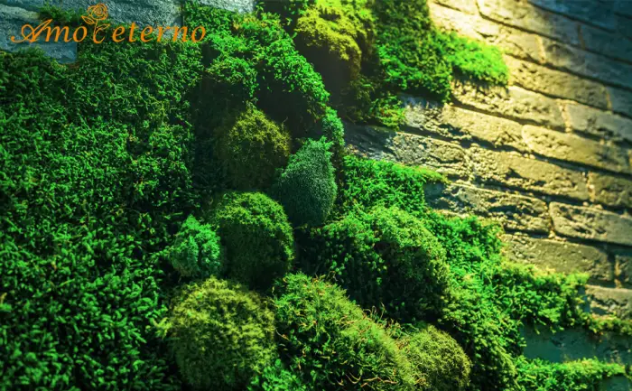 1.5sq. Ft Preserved Moss Pole Moss Pillow Moss Colored Decorative Moss for Moss Crafts, Art DIY, Wall Decor (Yellow Green) - moss wall