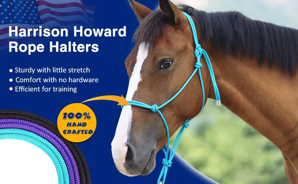 Harrison Howard Super Sturdy Horse Rope Training Halter with 4 Knot 1/4" Stiff Halter Cord Turquoise Yearling - image-2