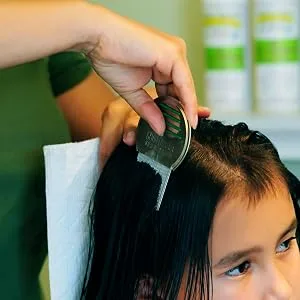 Lice Treatment Comb Stainless Steel Effectively Removes Louse and Nits with Head Lice (2) - lice comb