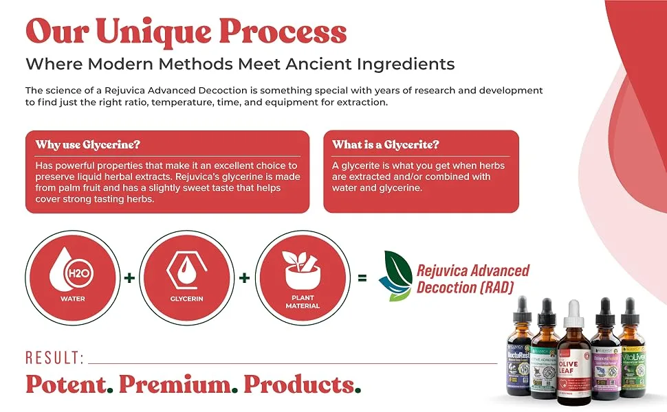 Active Olive Leaf Extract - Liquid Delivery - Active Olive Leaf heart support liquid tincture extract supplement advanced leaf 2oz drops