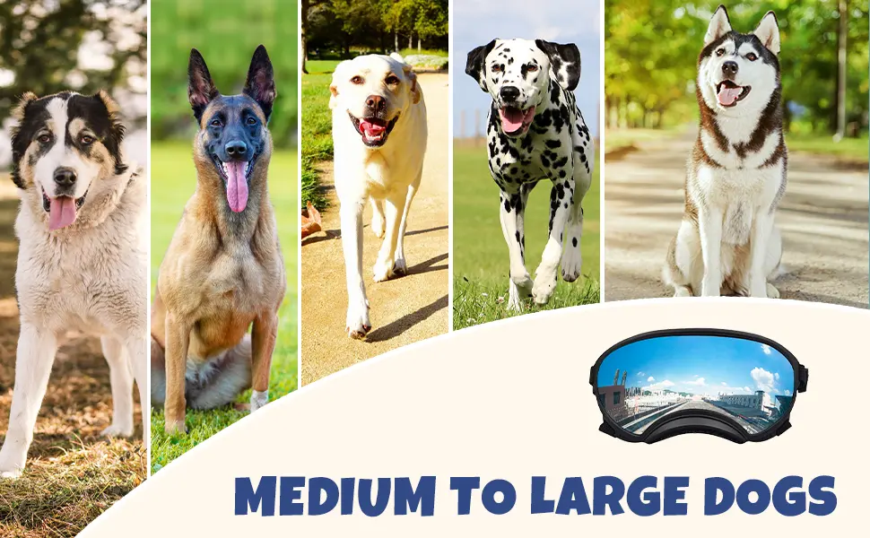 Dog Goggles Large and Medium Breed, UV Protection Windproof and Dustproof. Shatterproof Lens, Breathable Design, Dog Sunglasses Black - fit large dog