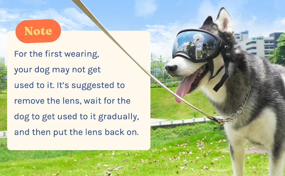 Dog Goggles Large and Medium Breed, UV Protection Windproof and Dustproof. Shatterproof Lens, Breathable Design, Dog Sunglasses Black - NOTE