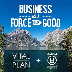 Vital Plan Brain Boost Supplement by Dr. Bill Rawls  Brain Boosting Capsules w/ Lions Mane, Cats Claw, Bacopa, Sensoril Ashwagandha & Ginkgo Biloba - ginkgo biloba brain supplement booster focus bacopa monnieri memory capsules boost pills clarity