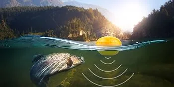 Venterior Portable Rechargeable Fish Finder Wireless Sonar Sensor Fishfinder Depth Locator with Fish Size, Water Temperature, Bottom Contour, Color LCD Display Black - sonar fish finder
