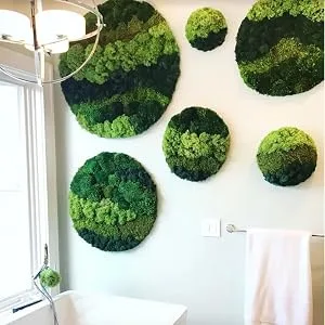 Moss 3.5OZ Preserved Moss for Potted Plants Natural Fresh Green Reindeer Moss for Craft Arts Floral Wall Decor Decor Wedding Centerpieces Garden Artificial Terrariums Decoration for Christmas(Green) Green 3.5oz - Moss wall art