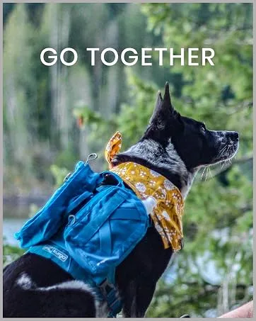 Kurgo Core Cooling Vest for Dogs, Dog Cooling Jacket, Evaporation Cooler Coat for Pets, Reflective Material, Adjustable Straps, Leash Attachment Opening, ICY/Storm Blue, Medium Medium 1 - Place holder