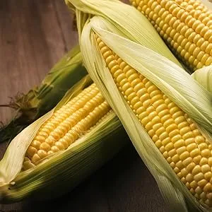 Seitenbacher Cornflakes Extra Large low in sugar without genetic engineering German corn pack of 6 6 x 500 g - maïs, corn, ontbijt, balststoffen, groenten, zoet, cornflakes, natuur, diervoeder