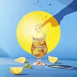Unilever Lipton Zero Sugar Ice Tea Sparkling a wonderfully refreshing ice tea 12 x 500 ml Value pack - product information 4