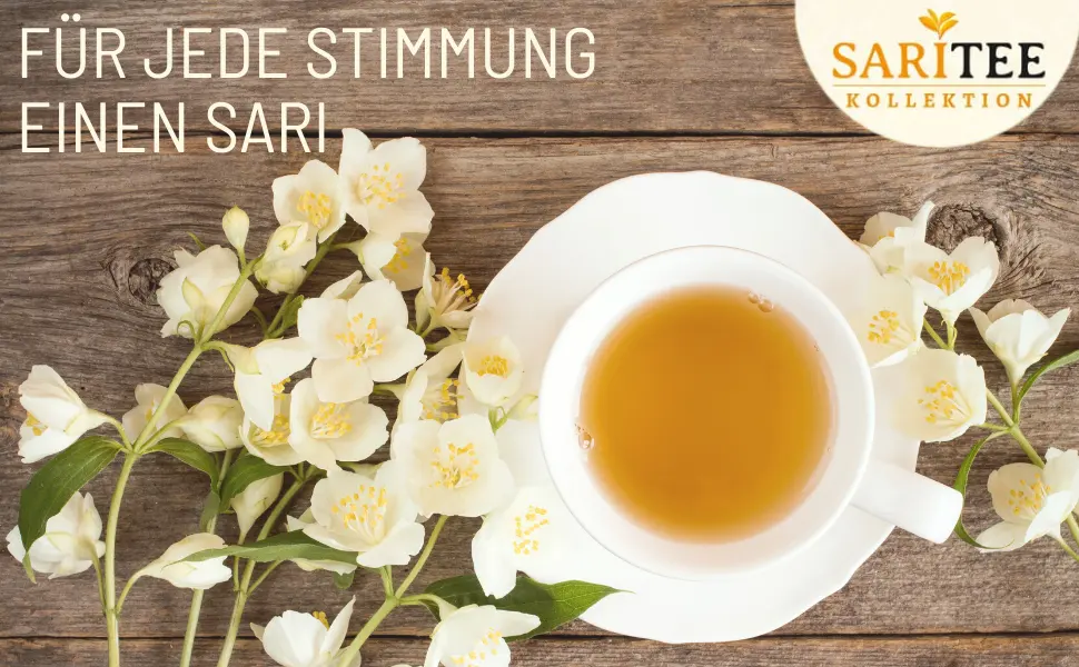 FRUTEG SARITEE Organic Apple Dream Fruit Tea Loser Apple tea made from dried apple pieces Refreshingfruity hot and cold a pleasure From organic cultivation 70g - Opener