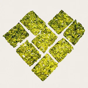Kulau Bio Nori Snack Chili sharp snack from roasted nori leaves Asian nack delicate crispy and spicy 8 x 4 g - dames