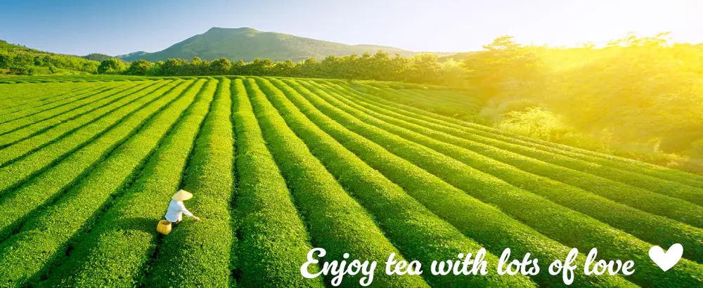 Goodwei Matcha Vanilla Tea Capsules Matcha Green Tea Caps with real Vanilla Extract Compatible with Nespresso* 20 pieces - De tekst luidt