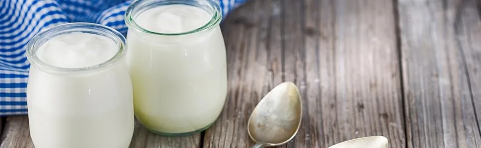 MilkySky Skimmed milk powder 500 g - yoghurt