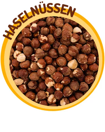 Natural Food Hazelnuts in the shell 10kg PREMIUM Fresh straight from Poland Grande - naturel