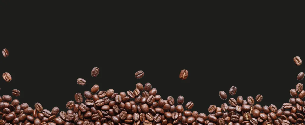 Cellini coffee capsules compatible with Nespresso* 100 pieces Coffee with sweet and fruity notes Nespresso* compatible capsules Cremoso - nespresso