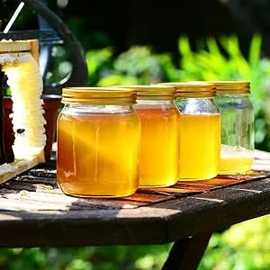 Thousandflower honey ORGANIC from ImkerPur fine and fruity with a fine mountain herb note 1 kg - Honing