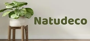 I am a natural person Fruity Tea Bag Vitamin C Lemon Orange Combination Fruit Tea Natural High Nutrition Cold Brew Fruit Tea Bag 32oz - product information 2