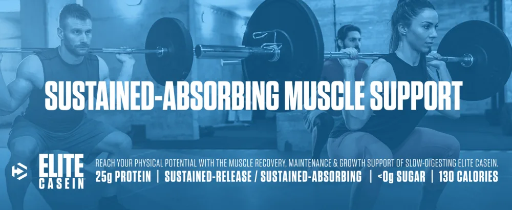 Dymatize Elite Casein - Protein Powder, Slow Absorbing, Muscle Building, Amino Acids, Casein, Supplement, Meal Replacement