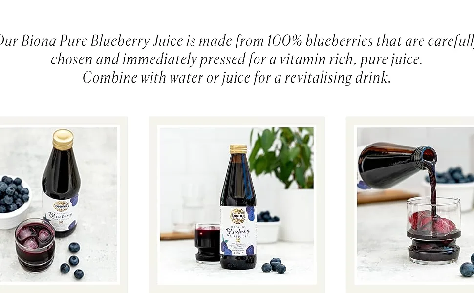 Biona White Wheat Lasagna 250 g - geniet van Biona Organic Blueberry Puur Sap