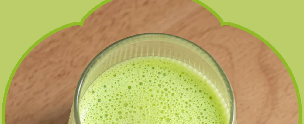 Goodwei Matcha Coco Latte Mix Matcha & Exotic Coconut Lightly sweetened with stevia 01 Without milk or additives Dosage to taste & only with water 800g - aplus content image