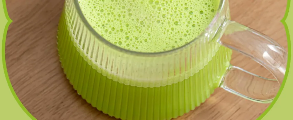 Goodwei Matcha Coco Latte Mix Matcha & Exotic Coconut Lightly sweetened with stevia 01 Without milk or additives Dosage to taste & only with water 800g - aplus content image