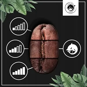 Blue Orca Coffee MEXICO Single Origin coffee beans 100 Arabica freshly roasted 1 kg - roosteren