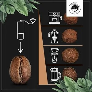 Blue Orca Coffee MEXICO Single Origin coffee beans 100 Arabica freshly roasted 1 kg - zetproces