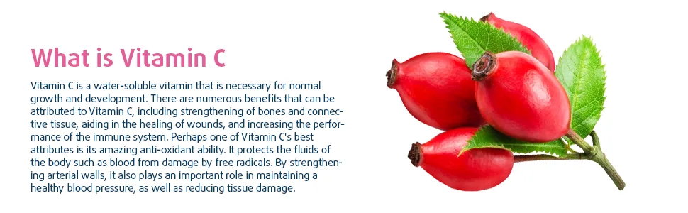 Haya Labs Vitamin C with rose hips 500 mg 100 capsules 100 g - image2