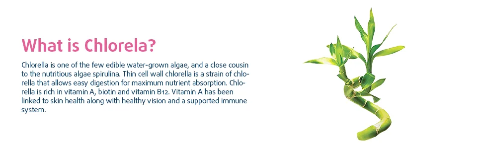 Haya Labs Broken Cell Wall Chlorella 500mg 100 capsules - image2