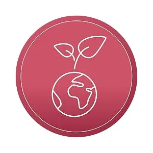 Trilogy Certified Organic Rosehip Oil 20ml - TrilogyTrilogy