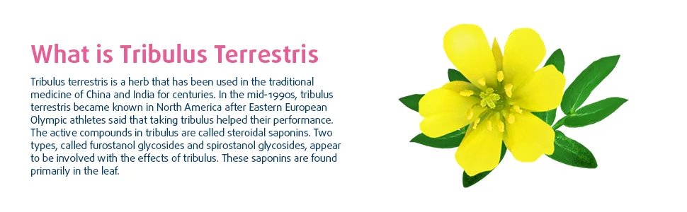 Tribulus Terrestris 1000mg Haya Labs 100tabl - product information 2