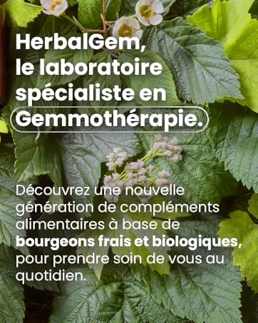 Herbalgem Propolis Junior organic drops from the first signs of cooling 15 ml Drops 15 ml 15ml - HerbalGem