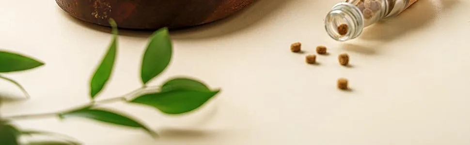 TEABALLS Organic GOOD Evening for approx 40 cups of tea - Bereiding